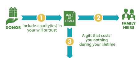 This diagram represents how to leave a gift through your will or trust - a gift that costs nothing during lifetime.