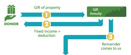 CGA Diagram